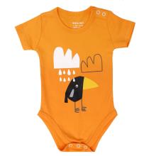 یادی کوتاه نبات